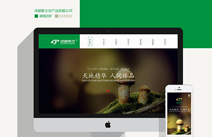 成都聯(lián)太